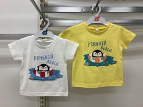 T-shirt manches courtes - Pingouin