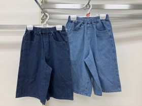 Short en toile - Denim
